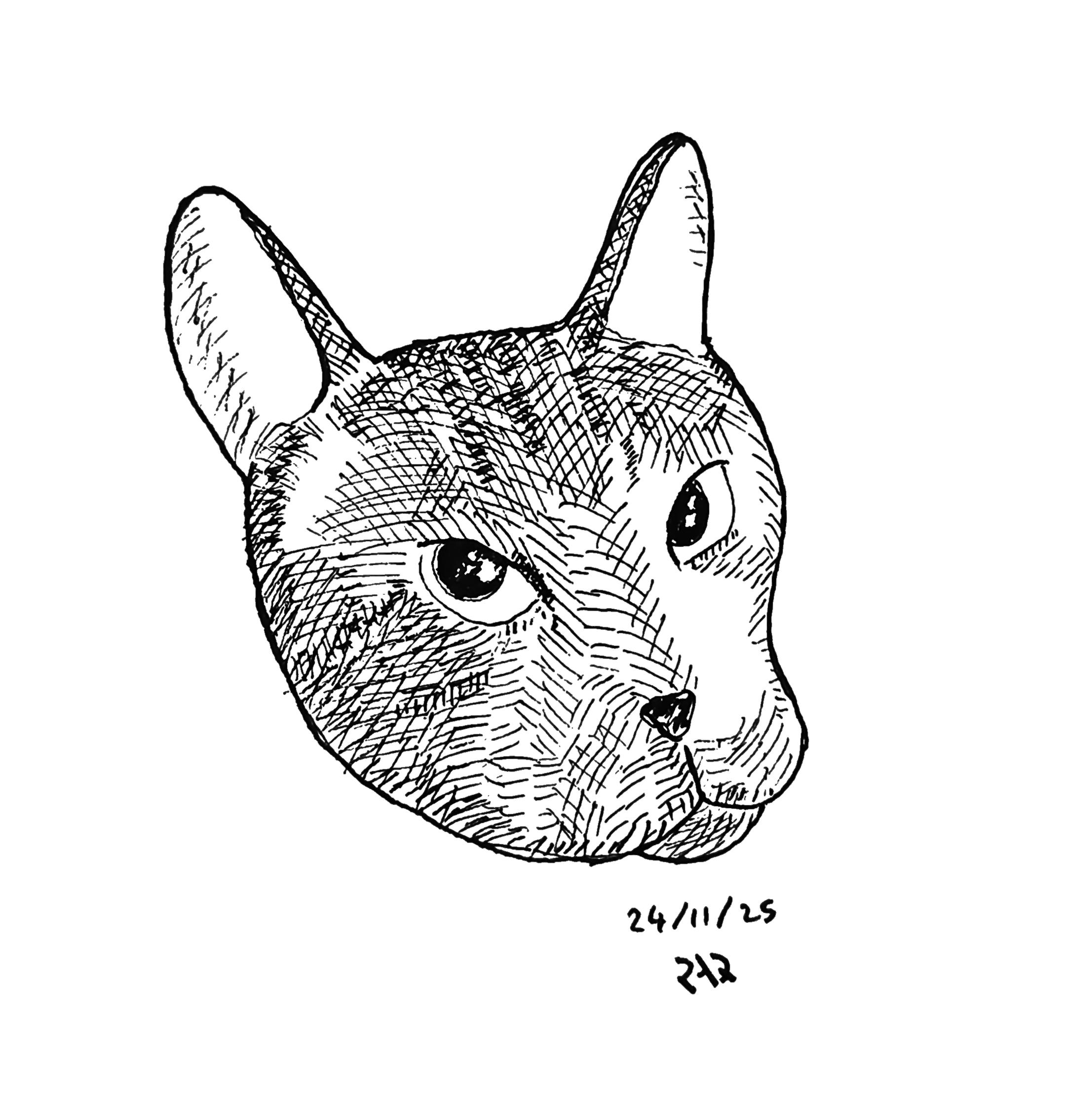 Cat sketch, Pen