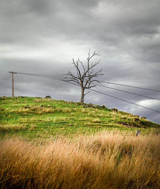 Wired, Digital (PowerPoint)